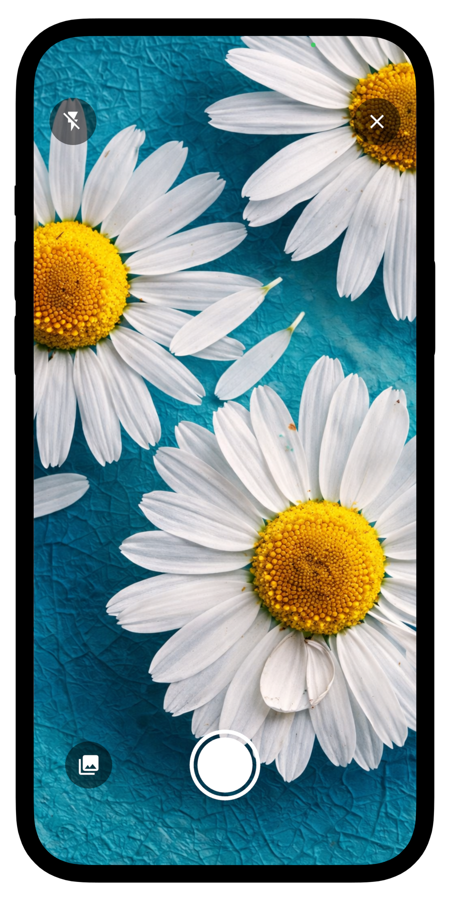Capturing a photo for color scanning in Paletix